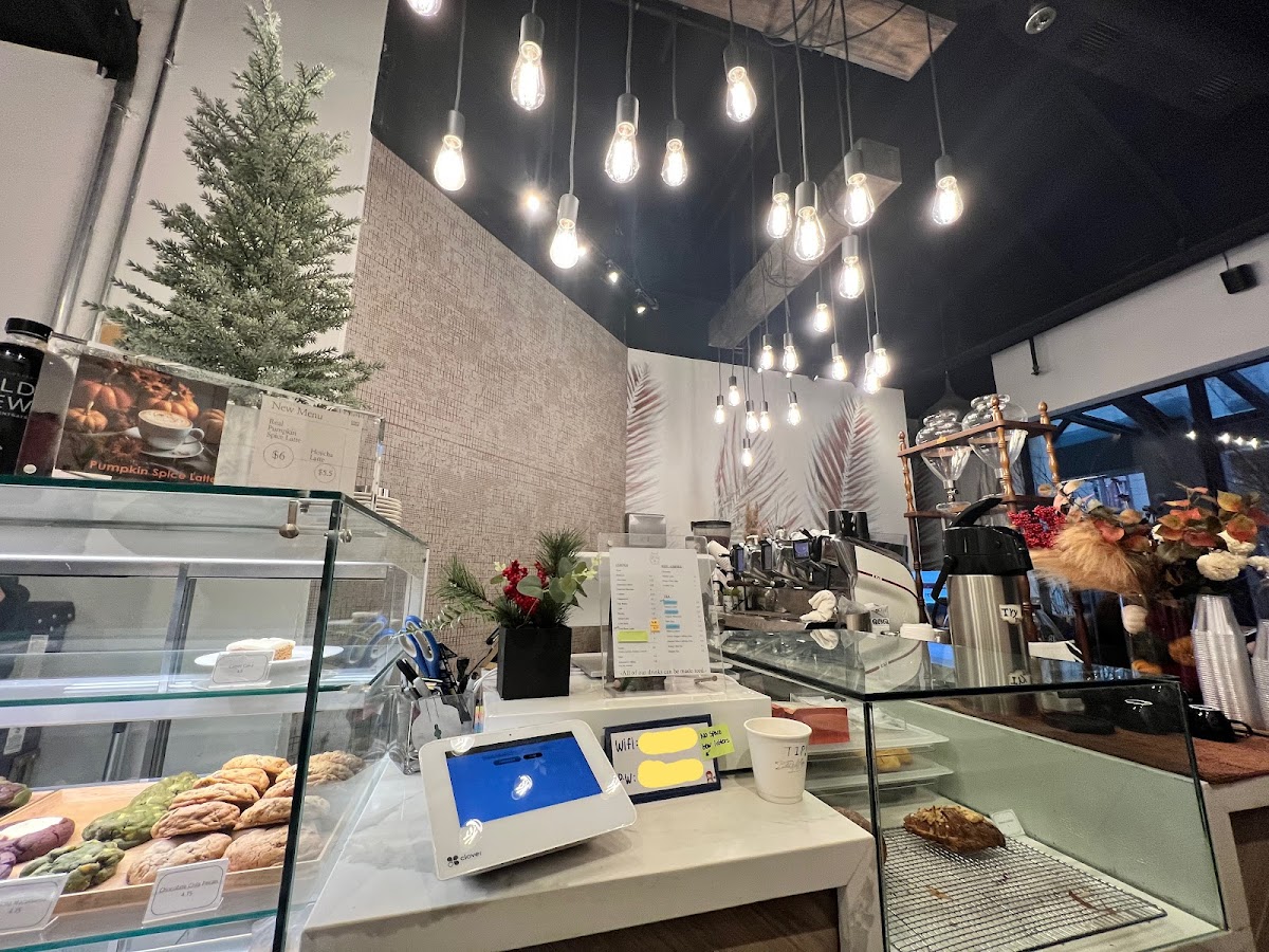 Coffee shop counter with pastry case and hanging lights